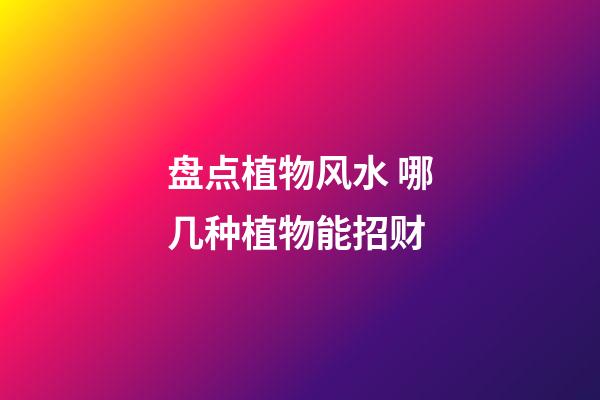 盘点植物风水 哪几种植物能招财